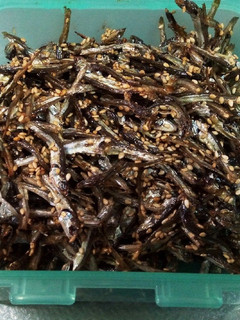 いりこ佃煮-レシピのメイン写真
