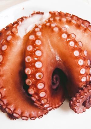 とっても簡単♪旨い生ダコの茹で方-レシピのメイン写真