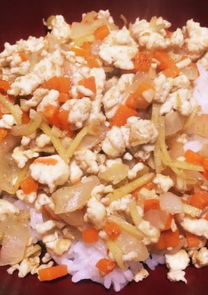 しょうが鶏そぼろ丼!-レシピのメイン写真