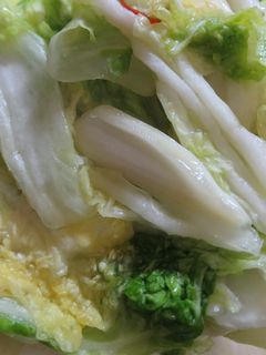白菜のつけもの-レシピのメイン写真