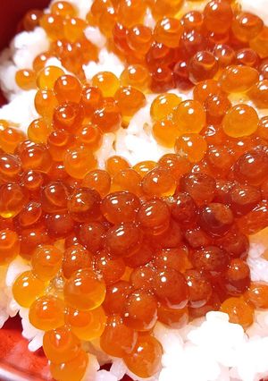 筋子(イクラ)の山椒醤油漬け-レシピのメイン写真