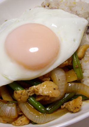 アジアン風☆鶏とニンニクの芽の炒め物-レシピのメイン写真