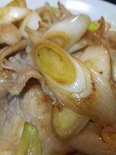 簡単中華・豚肉と長葱の塩炒め-レシピのメイン写真