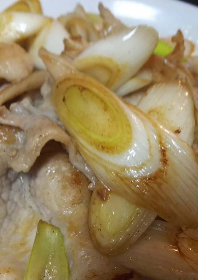 簡単中華・豚肉と長葱の塩炒め-レシピのメイン写真