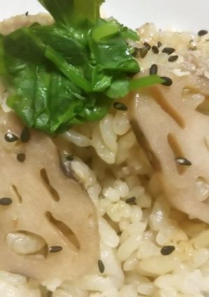 れんこんご飯-レシピのメイン写真