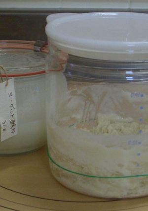 自家製ヨーグルト酵母～元種つくりまで-レシピのメイン写真