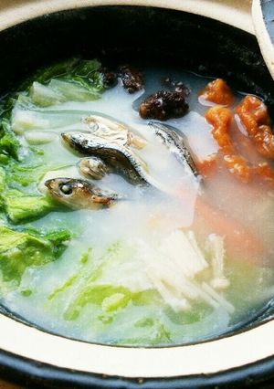犬ご飯　豆乳鍋-レシピのメイン写真