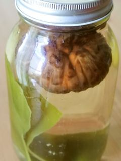 昆布と椎茸の簡単お出汁-レシピのメイン写真
