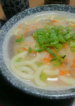 お鍋一つで！野菜がいっぱい暖か酒粕うどん-レシピのメイン写真