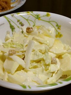 白菜とリンゴのサラダ-レシピのメイン写真