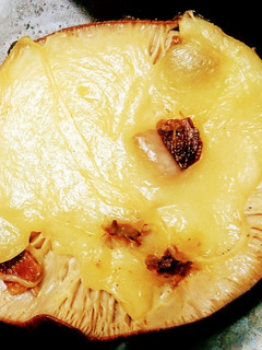 超簡単モッツァレラとアンチョビの椎茸焼き-レシピのメイン写真
