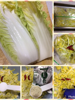 白菜の漬物-レシピのメイン写真