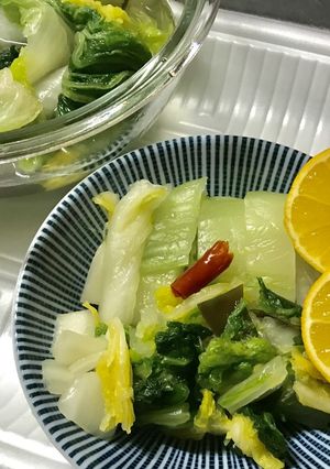 白菜漬物-レシピのメイン写真