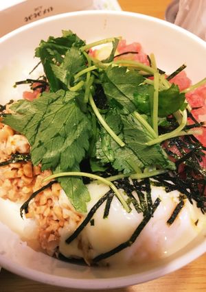 乗せるだけ！簡単納豆ネギトロ丼-レシピのメイン写真