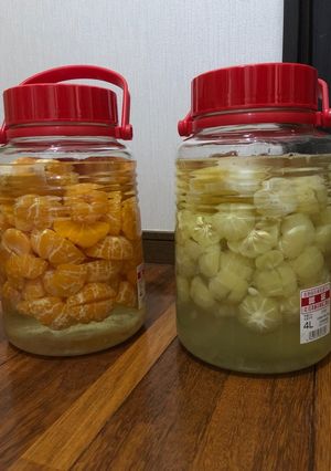 みかんのお酒-レシピのメイン写真