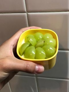 簡単!マスカットヨーグルトムースタルト-レシピのメイン写真