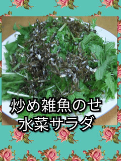 炒め雑魚のせ水菜サラダ-レシピのメイン写真