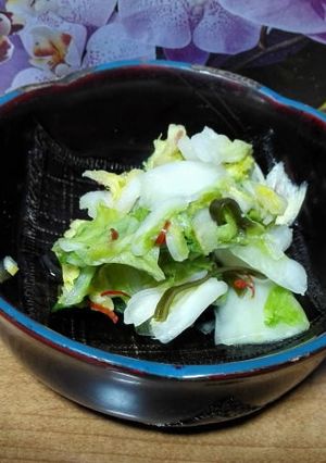 少量でも本格派(^o^) 白菜漬け-レシピのメイン写真