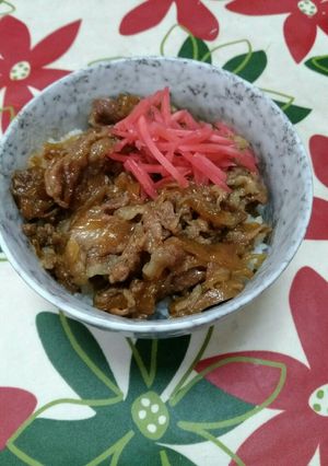 豚丼-レシピのメイン写真