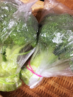ブロッコリー屋さんに教わった保存方法!-レシピのメイン写真