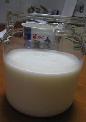 カスピ海ヨーグルトを増やす-レシピのメイン写真