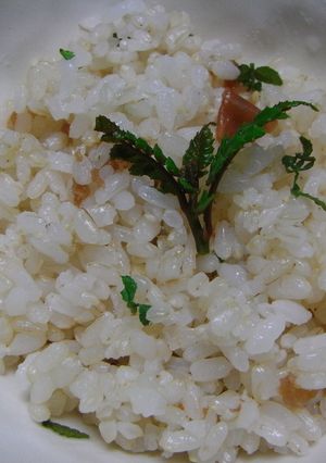 春のかおり☆木の芽ごはん♪-レシピのメイン写真
