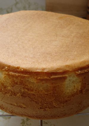 基本のスポンジケーキ-レシピのメイン写真