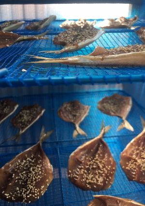 鯵のみりん干し(干物)作り方-レシピのメイン写真