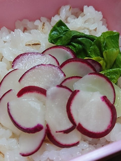 ラディッシュ漬物deぶどう☆お弁当-レシピのメイン写真
