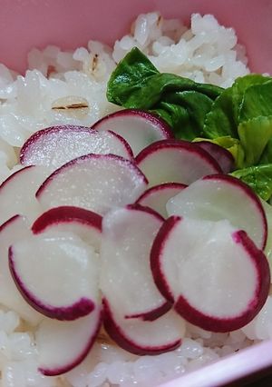 ラディッシュ漬物deぶどう☆お弁当-レシピのメイン写真