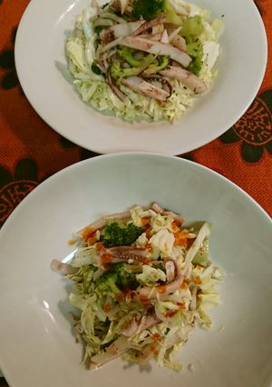 イカとキャベツのサラダ-レシピのメイン写真