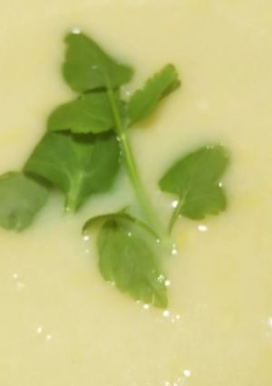 創味シャンタンで簡単コーンスープ-レシピのメイン写真