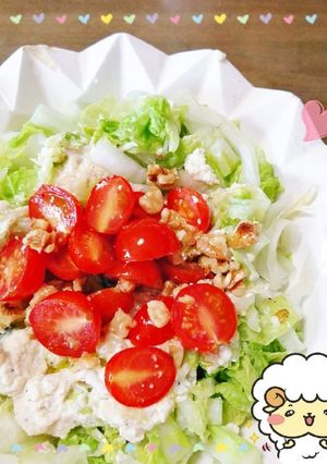 マクロビ☆白菜トマトの豆乳チーズサラダ-レシピのメイン写真