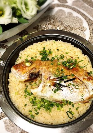 めで鯛飯-レシピのメイン写真