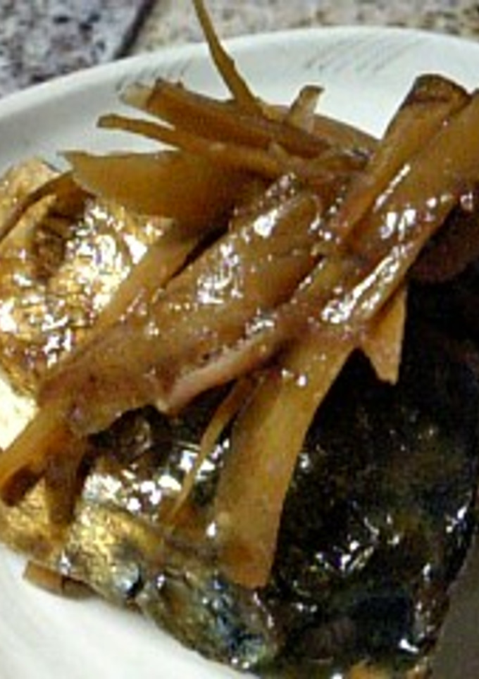 さばとごぼうの煮付け-レシピのメイン写真
