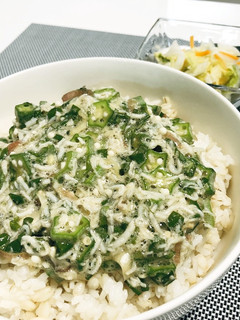 簡単!ピリ辛オクラ丼-レシピのメイン写真