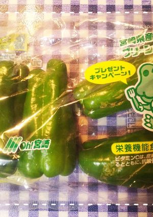 そのまま冷凍！解凍不要！ピーマン保存コツ-レシピのメイン写真