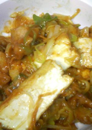 鶏肉と長ネギのカレーいため-レシピのメイン写真
