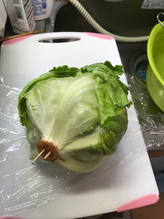 レタスの保存の仕方-レシピのメイン写真