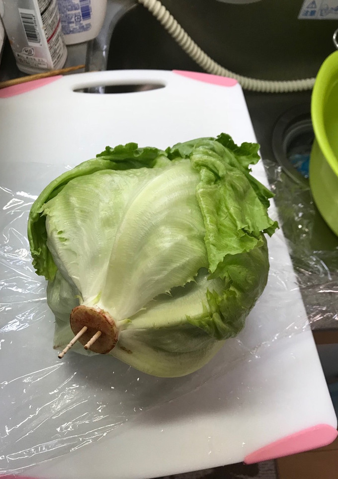 レタスの保存の仕方-レシピのメイン写真