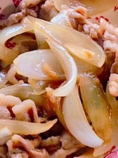 豚肉と玉ねぎのニンニク醤油炒め-レシピのメイン写真