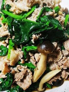 豚こまとほうれん草のオイスターソース-レシピのメイン写真