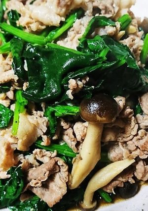 豚こまとほうれん草のオイスターソース-レシピのメイン写真