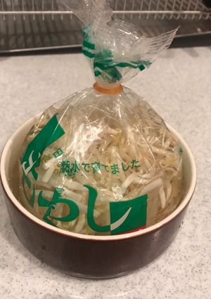 もやしの保存 究極ズボラversion-レシピのメイン写真
