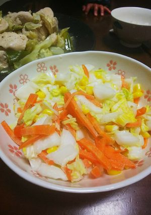 白菜のコールスロー-レシピのメイン写真