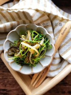 5分で完成☆豆苗ともやしの塩昆布ナムル-レシピのメイン写真