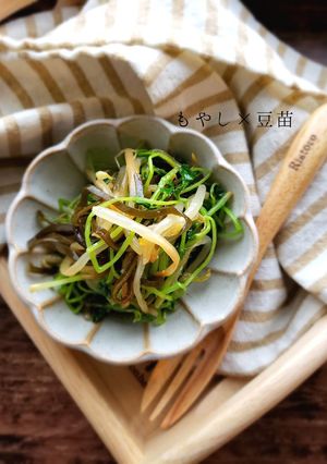5分で完成☆豆苗ともやしの塩昆布ナムル-レシピのメイン写真