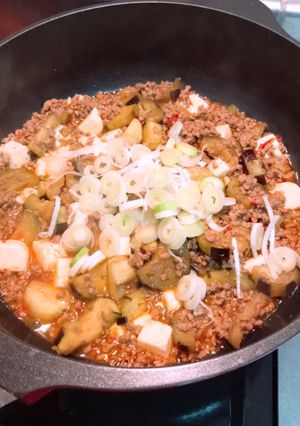 欲張り★麻婆豆腐＆茄子-レシピのメイン写真