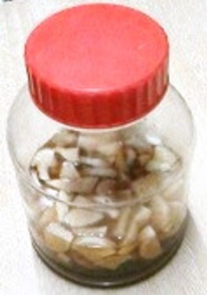 大根の甘酢漬け-レシピのメイン写真