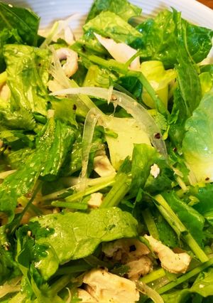 レンチン蒸し鶏とパクチーのサラダ-レシピのメイン写真